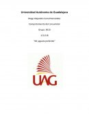 Análisis de producto “Mi juguete preferido”