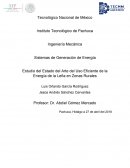 ESTADO DEL ARTE DENDROENERGÍA