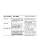 INDICACIONES ARETEGUASU CARNAVAL QUEBRADA