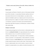 Etiología de retardo mental; Síndrome de Down (DS) y Síndrome Alcohólico Fetal (SAF)