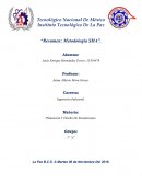 Resumen: Metodología SHA