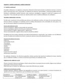 Capitulo 4: Análisis ambiental y análisis industrial