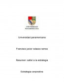 Safari a la estrategia