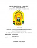 PRODUCCION Y COMERCIALIZACION DE QUESO MUZZARELLA EN LA CIUDAD INTERMEDIA DE PATACAMAYA¨