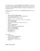 Empresa Tortas Ro S de RL de CV