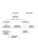 Mapa Conceptual Galletas