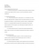 Derecho penal principios