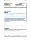 Ingeniería en el mundo