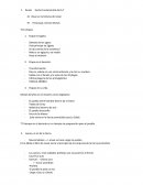 Esquema etapas Religion