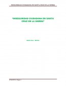 INSEGURIDAD CIUDADANA EN SANTA CRUZ DE LA SIERRA