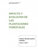 IMPACTO Y EVOLUCION DE LAS PLANTACIONES FORESTALES