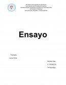 Ensayo valores, etica y cultura