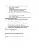 Descripción de las organizaciones y las funciones