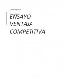 Ventaja Competitiva. No todas las empresas tienen ventajas competitivas
