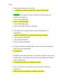 Test licencia de conducir