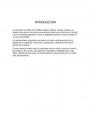 GEOGRAFIA EN UN AREA CULTURAL