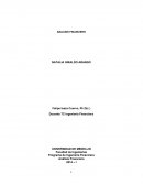 Programa de Ingeniería Financiera