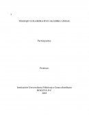 TRABAJO COLABORATIVO ALGEBRA LINEAL