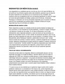 MIGRANTES EN MÉXICO(Sociedad)