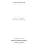 PROYECTO DROGUERIA MyM