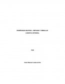 EMSAYO EMPAQUE Y EMBALAJE