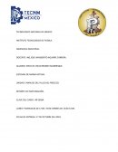 ANÁLISIS DEL FLUJO DEL PROCESO