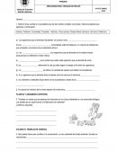 Guia trabajo ciencias 4 grado