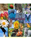 Aumento De La Pérdida De La Biodiversidad En La Comunidad De San Juan Puerto Montaña