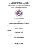 Apreciación crítica video aplicativo estudio de fraudes a nivel empresarial