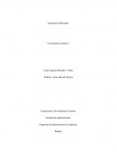 Programa de administración de empresas. Marketing Internacional