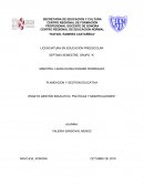 Gestión educativa: Políticas y modificaciones