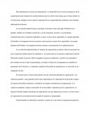 Capacitación y el desarrollo de los niveles jerárquicos de la organización