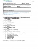 Seminario de habilidades verbales .Descripción detallada