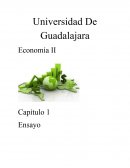 Economía II Capítulo 1