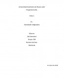Actividad integradora de artes, obra realizada por Diego Velázquez