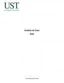 Analisis caso sag