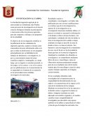 Articulo científico. Investigación científica