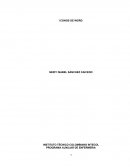 PROGRAMA AUXILIAR DE ENFERMERIA