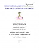 DESARROLLO ORGANIZACIONAL COMO ESTRATEGIA DE CAMBIIO EN LA EMPRESA“INCOARROZ”