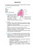 Anatomia de mediastino