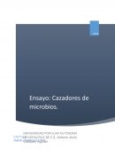 Cazadores de Microbios Capítulo I