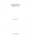 Tiburón Megalodon Carcharodon