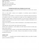 JARDÍN INFANTIL “LOS 3 PASTORCITOS”