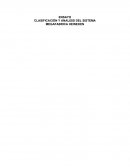 ENSAYO CLASIFICACIÓN Y ANALISIS DEL SISTEMA MEGAFABRICA HEINEKEN