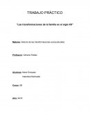 TRABAJO PRÁCTICO “Las transformaciones de la familia en el siglo XX”
