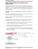 Temodinamica. Unidad 3. Calor y Termo