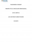 Ingeniería en redes. Prospectiva e innovación profesional ruta critica