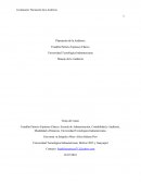 Planeación de la Auditoria