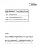 Aguacate, el "oro verde" Líneas de espera, teoría de decisiones