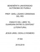 ENSAYO DEL LIBRO “EL GUARDIÁN ENTRE ELCENTENO” (LITERATURA)